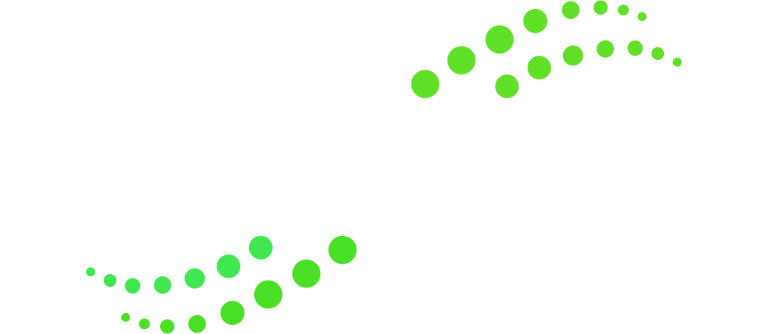 Verdener Glanzservice